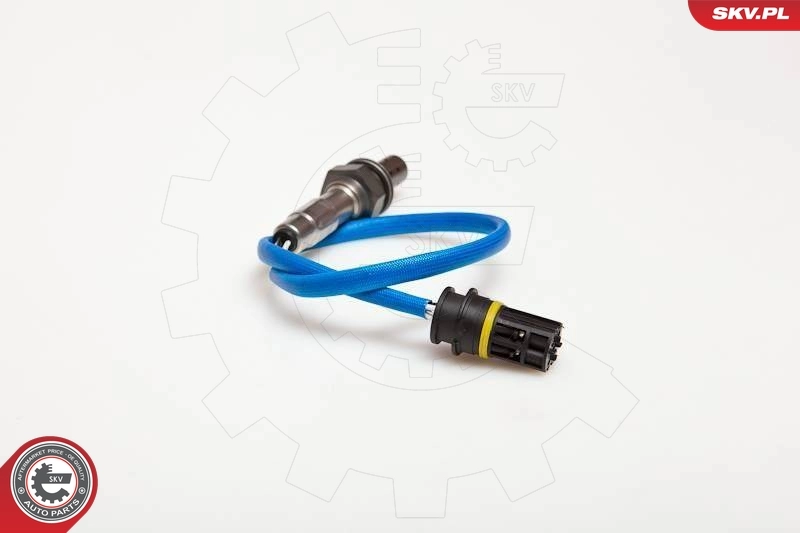 Oxygen Sensor